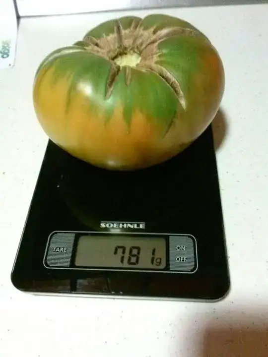 Peso de tomate cultivado en nuestro huerto urbano en Albacete